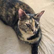 Thumbnail photo of Emma Jean #2