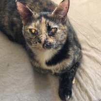 Thumbnail photo of Emma Jean #3