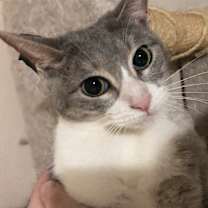 Thumbnail photo of Donetella #1