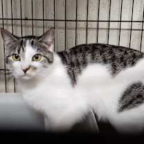 Thumbnail photo of Tessa #1