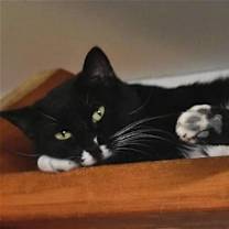 Thumbnail photo of Arturo #2