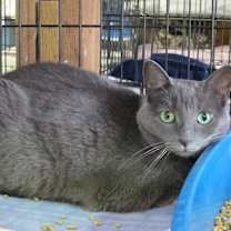 Thumbnail photo of Lalla #1