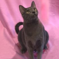 Thumbnail photo of Camille #1