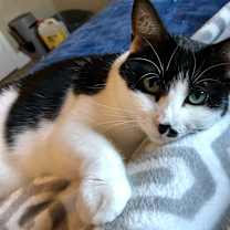 Thumbnail photo of Sheena #3
