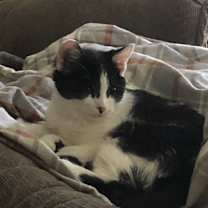 Thumbnail photo of Joy #2