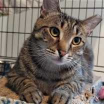 Thumbnail photo of Skipper #3