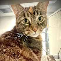 Thumbnail photo of MEG #1