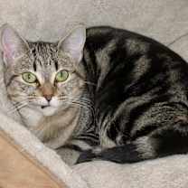 Thumbnail photo of Floyd & Jewel #2