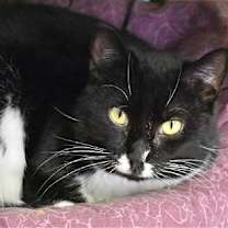 Thumbnail photo of Arturo #3