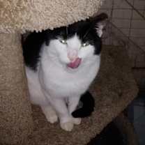 Thumbnail photo of Cash #4