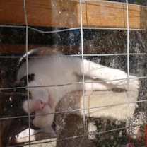 Thumbnail photo of Cash #2