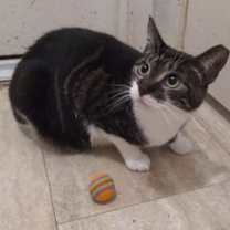 Thumbnail photo of Harper #1