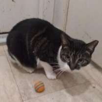 Thumbnail photo of Harper #2