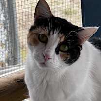 Thumbnail photo of Miss Pretty #1