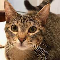 Thumbnail photo of Annie V. #1