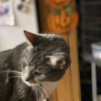 Thumbnail photo of Heather #2