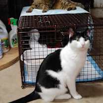 Thumbnail photo of Cash #3