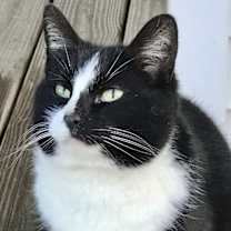 Thumbnail photo of Craig #1