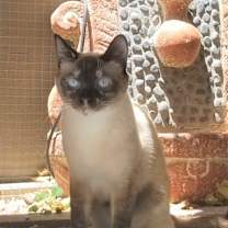Thumbnail photo of Ellie Mae #2