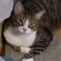 Thumbnail photo of Lucky R #1