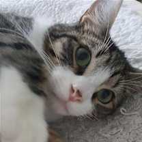 Thumbnail photo of Lucky R #3