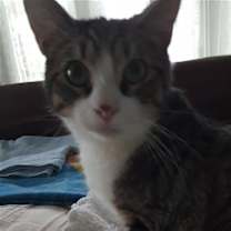 Thumbnail photo of Lucky R #4
