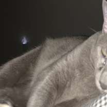 Thumbnail photo of Camille #2