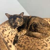 Thumbnail photo of Pixel #2