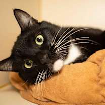 Thumbnail photo of Porgy #1