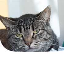 Thumbnail photo of Mabel #1