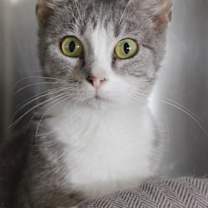 Thumbnail photo of Greta #1