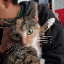 Thumbnail photo of Nya #2