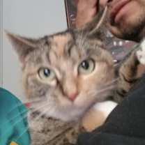 Thumbnail photo of Nya #3