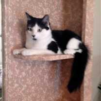 Thumbnail photo of Timmy #1