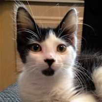 Thumbnail photo of Timmy #4