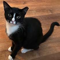 Thumbnail photo of Junebug #1