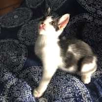 Thumbnail photo of Hassan #2