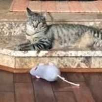 Thumbnail photo of Matt #4