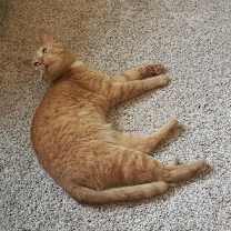 Thumbnail photo of Ohio #2