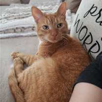 Thumbnail photo of Ohio #3