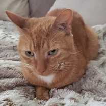 Thumbnail photo of Ohio #4