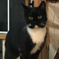 Thumbnail photo of Daphne #1