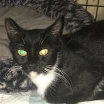 Thumbnail photo of Daphne #2