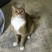 Thumbnail photo of SILLY Sami #3