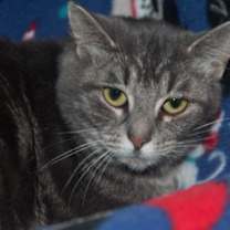 Thumbnail photo of Minnie #1