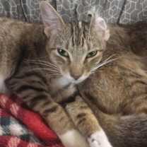 Thumbnail photo of Bunny #2