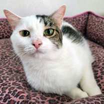 Thumbnail photo of Harper #1