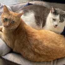 Thumbnail photo of Barney & Harley #1