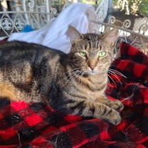 Thumbnail photo of Marbles #1