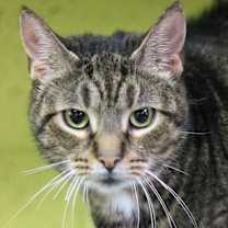 Thumbnail photo of Delilah #2